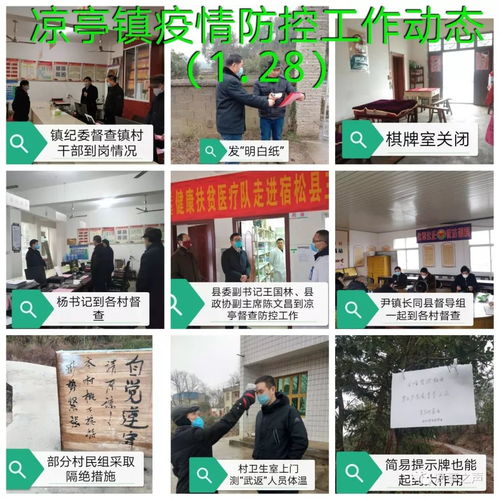 涼亭鎮疫情防控 一張拼圖，一方平安——記涼亭鎮疫情防控工作動態網頁設計