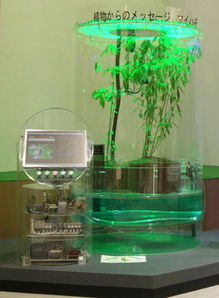 植物工廠的智慧之眼 探秘愛知博覽會與麗水農(nóng)科所的智能監(jiān)控系統(tǒng)